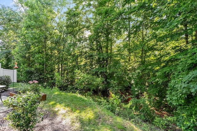 534 Hobkirks Pl, Durham, NC 27704 - view of yard