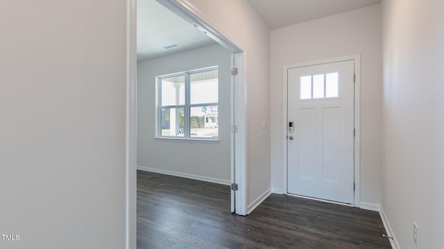 170 Babbling Creek Dr, Youngsville, NC 27596 - entryway featuring healthy amount of natural light and dark wood-type flooring