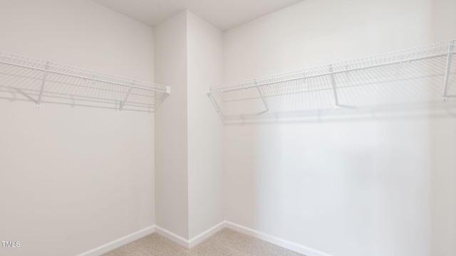 170 Babbling Creek Dr, Youngsville, NC 27596 - walk in closet with carpet