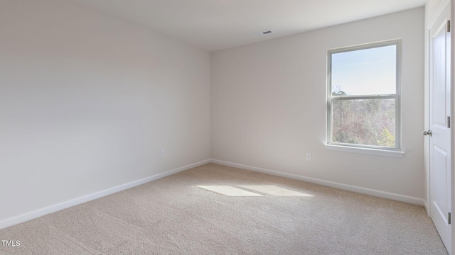 170 Babbling Creek Dr, Youngsville, NC 27596 - unfurnished room featuring carpet flooring and plenty of natural light