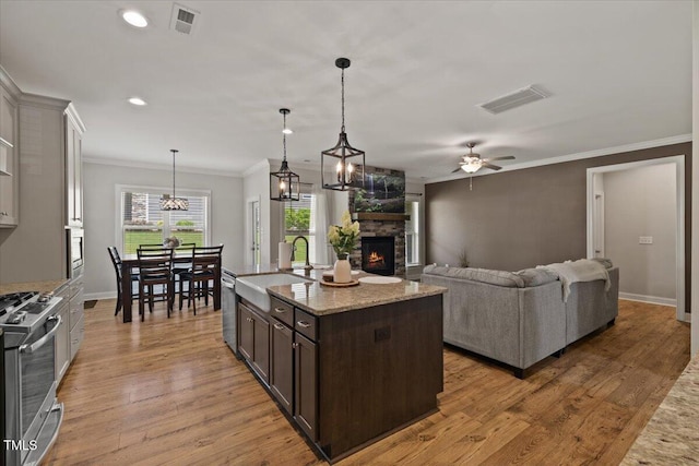 824 Stanly House St, Wake Forest, NC 27587 - kitchen featuring appliances with stainless steel finishes, dark brown cabinetry, ornamental molding, a stone fireplace, and light wood-style flooring
