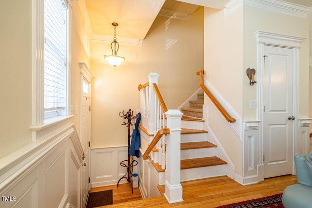 229 Rose Walk Ln, Carrboro, NC 27510 - photo 17