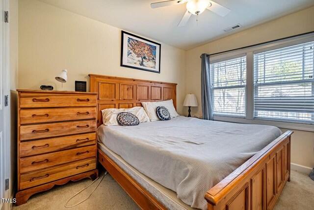 229 Rose Walk Ln, Carrboro, NC 27510 - photo 18