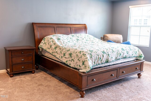 1402 Southpoint Trl, Durham, NC 27713 - bedroom with light colored carpet and baseboards