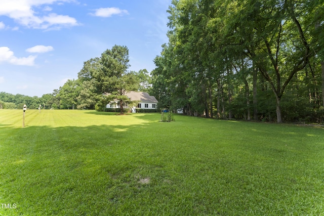 150 Williamston Ridge Dr, Youngsville, NC 27596 - photo 38