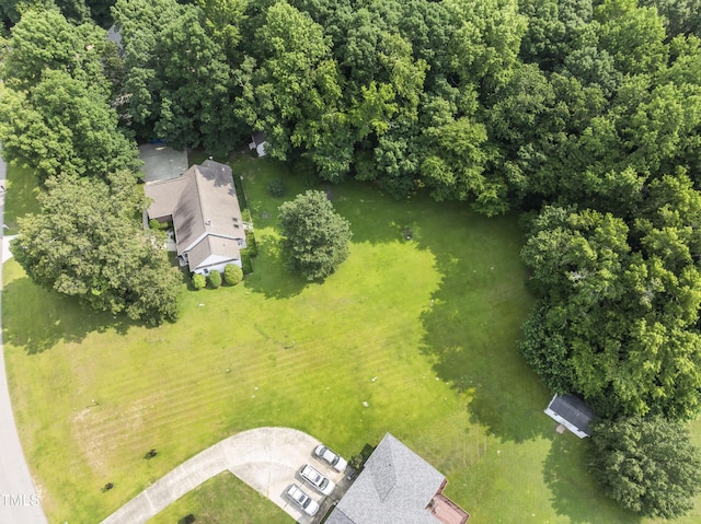 150 Williamston Ridge Dr, Youngsville, NC 27596 - photo 34