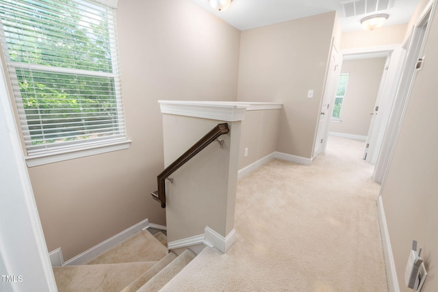 102 Harvest Oaks Ln Unit 38, Durham, NC 27703 - photo 17