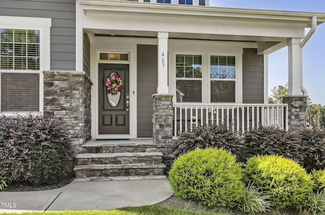 465 Gianna Dr, Clayton, NC 27527 - photo 4