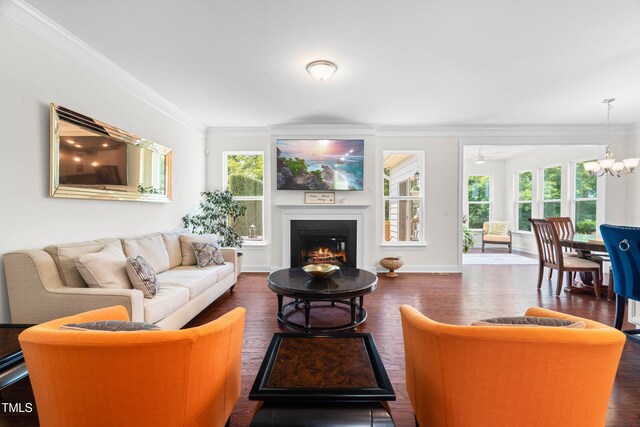1321 White Spruce Dr, Willow Springs, NC 27592 - living room with crown molding, healthy amount of natural light, dark wood-style floors, a warm lit fireplace, and a chandelier