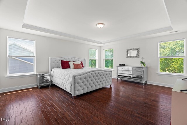 1321 White Spruce Dr, Willow Springs, NC 27592 - bedroom featuring a raised ceiling, multiple windows, and wood finished floors