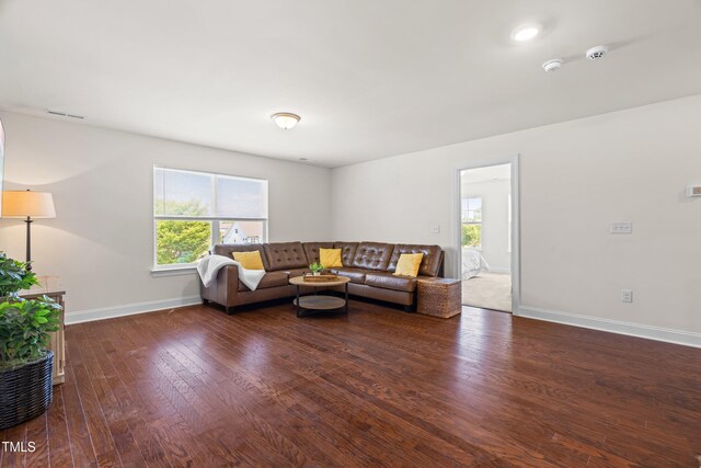1321 White Spruce Dr, Willow Springs, NC 27592 - living room featuring plenty of natural light and wood finished floors