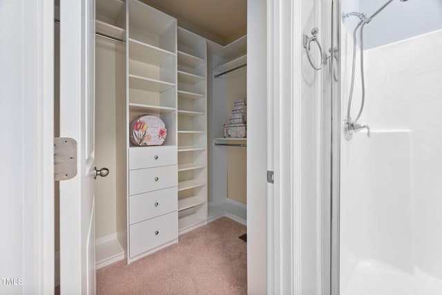 809 Davidson Point Rd, Cary, NC 27513 - photo 31
