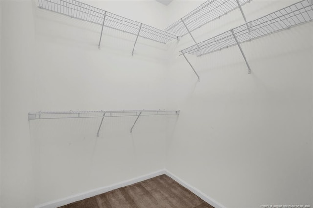 612 Marshtree Ln Unit 304, Fayetteville, NC 28314 - spacious closet with dark colored carpet