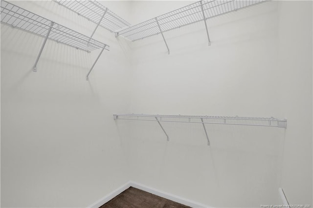 612 Marshtree Ln Unit 304, Fayetteville, NC 28314 - walk in closet with dark carpet