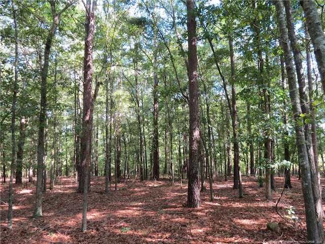0 Rocky Fork Church Rd, Sanford, NC 27332 - photo 1