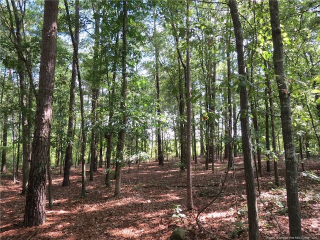 0 Rocky Fork Church Rd, Sanford, NC 27332 - photo 2