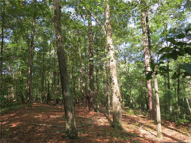 0 Rocky Fork Church Rd, Sanford, NC 27332 - photo 3