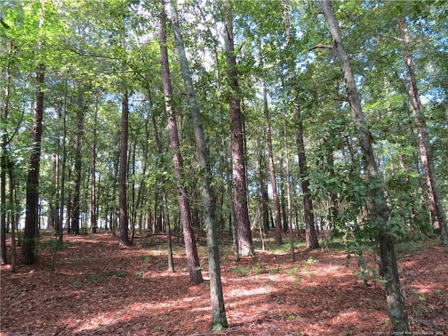 0 Rocky Fork Church Rd, Sanford, NC 27332 - photo 4