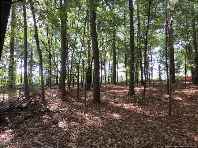 0 Rocky Fork Church Rd, Sanford, NC 27332 - photo 5