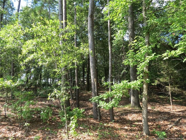 0 Rocky Fork Church Rd, Sanford, NC 27332 - photo 6