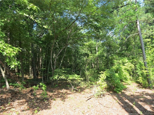 0 Rocky Fork Church Rd, Sanford, NC 27332 - photo 7