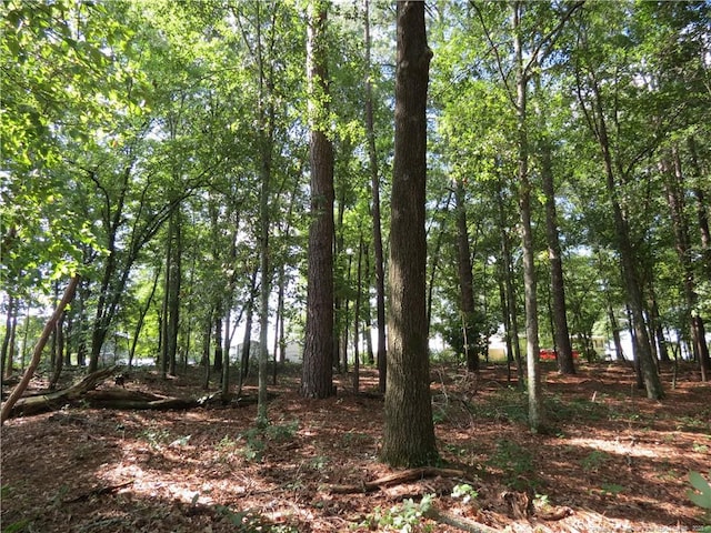 0 Rocky Fork Church Rd, Sanford, NC 27332 - photo 8