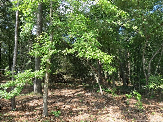0 Rocky Fork Church Rd, Sanford, NC 27332 - photo 9