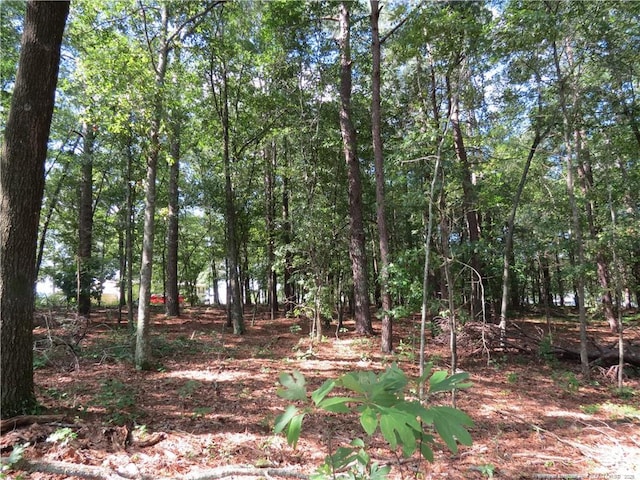 0 Rocky Fork Church Rd, Sanford, NC 27332 - photo 10