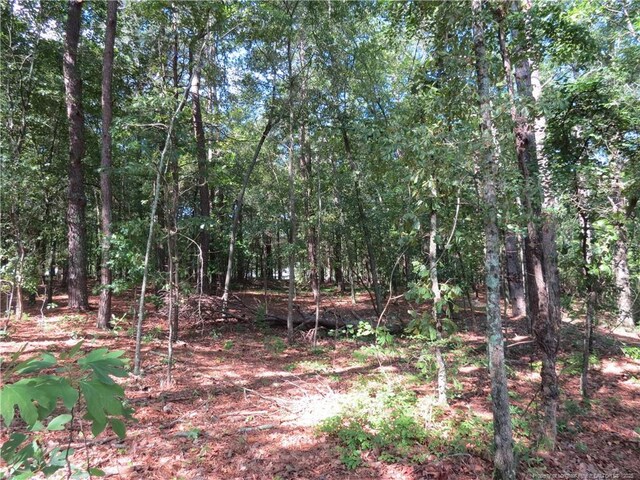 0 Rocky Fork Church Rd, Sanford, NC 27332 - photo 11
