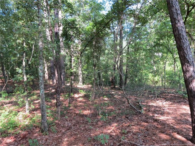 0 Rocky Fork Church Rd, Sanford, NC 27332 - photo 12