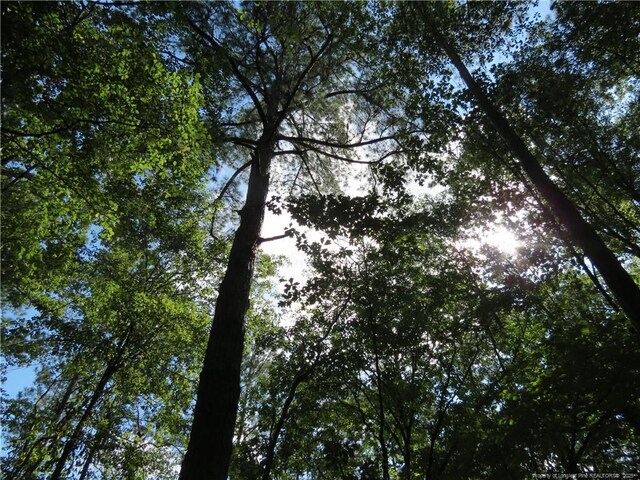 0 Rocky Fork Church Rd, Sanford, NC 27332 - photo 13