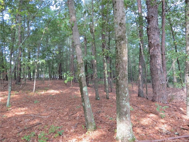 0 Rocky Fork Church Rd, Sanford, NC 27332 - photo 14