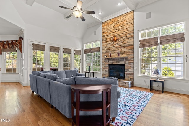 3311 Canoe Brook Pkwy, Raleigh, NC 27614 - photo 19