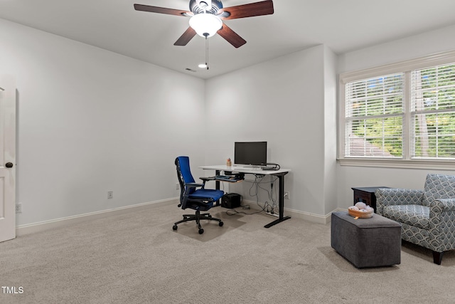 3311 Canoe Brook Pkwy, Raleigh, NC 27614 - photo 51