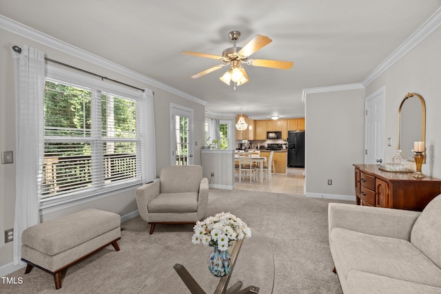 4600 Landover Dale Dr, Raleigh, NC 27616 - photo 19