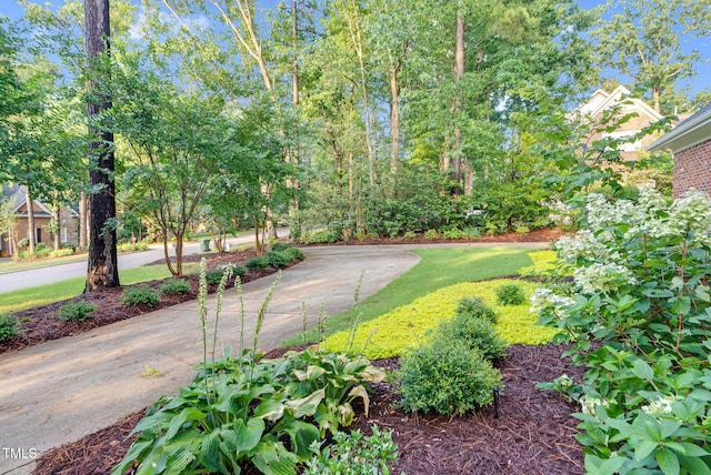 105 Bathgate Ln, Cary, NC 27513 - view of grassy yard