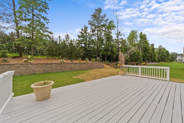 228 Cloverdale Rd, Apex, NC 27523 - photo 50