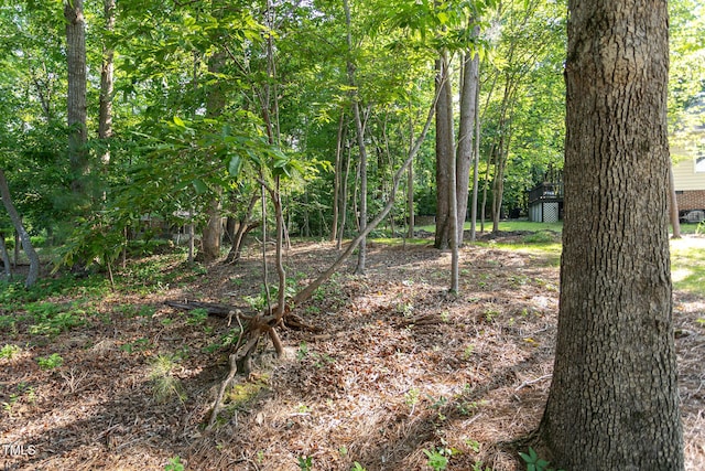 6069 Jones Cir, Sanford, NC 27332 - view of undeveloped land