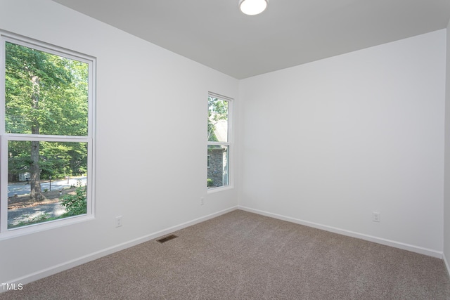 6069 Jones Cir, Sanford, NC 27332 - empty room featuring healthy amount of natural light and carpet floors