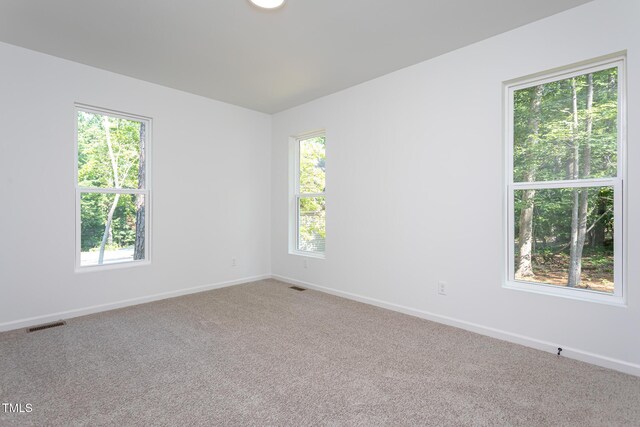 6069 Jones Cir, Sanford, NC 27332 - unfurnished room with healthy amount of natural light and carpet floors