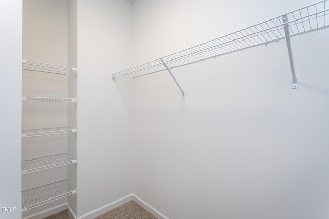 6069 Jones Cir, Sanford, NC 27332 - walk in closet featuring carpet