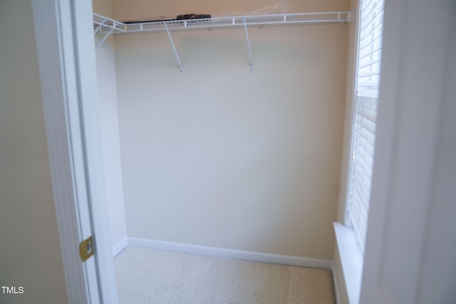 3423 Van Hessen Dr, Raleigh, NC 27614 - walk in closet with carpet flooring