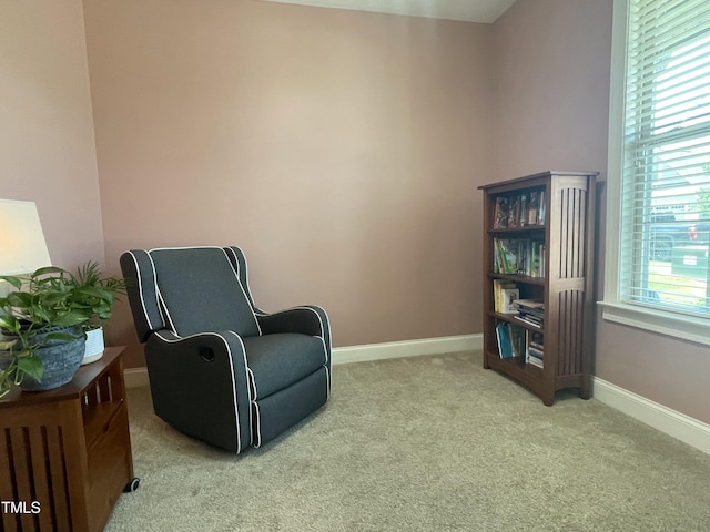 3 Meadowrue Ln, Youngsville, NC 27596 - photo 22