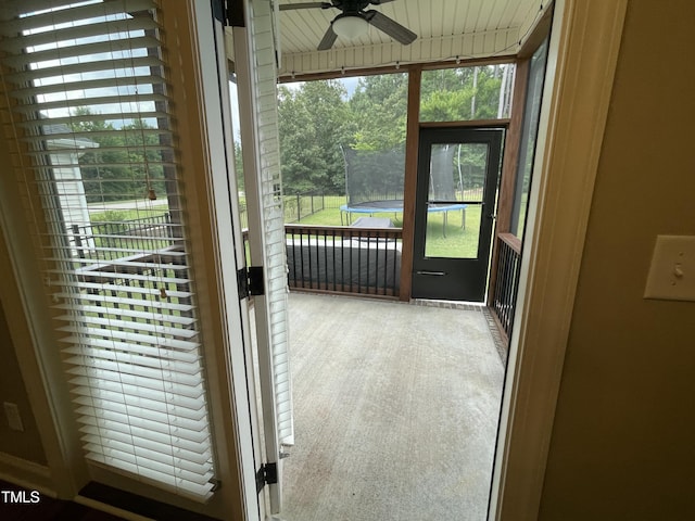 3 Meadowrue Ln, Youngsville, NC 27596 - photo 31