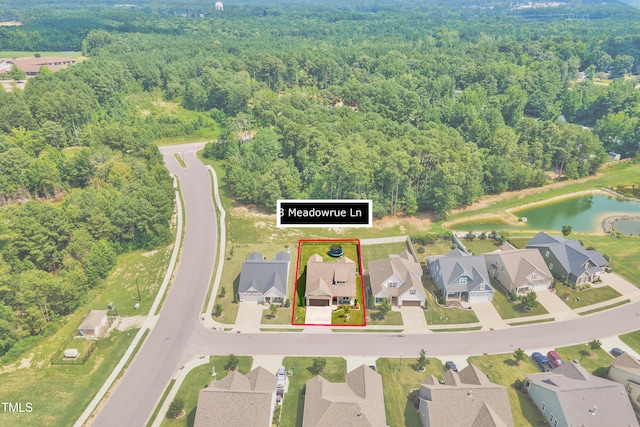 3 Meadowrue Ln, Youngsville, NC 27596 - photo 38