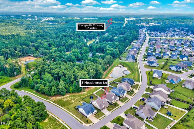 3 Meadowrue Ln, Youngsville, NC 27596 - photo 37