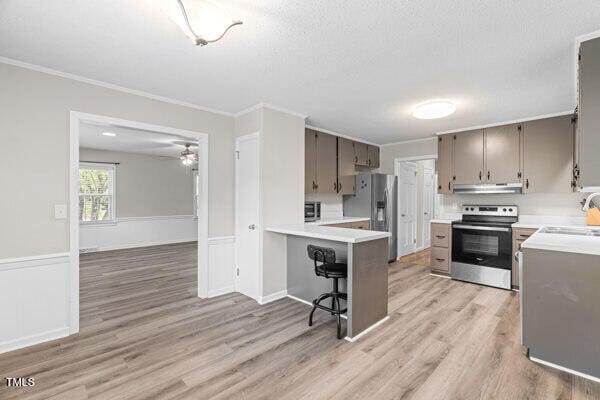 509 S Mckay Ave, Dunn, NC 28334 - kitchen with appliances with stainless steel finishes, under cabinet range hood, light wood-type flooring, ornamental molding, and light countertops