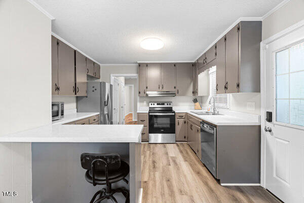 509 S Mckay Ave, Dunn, NC 28334 - kitchen with stainless steel appliances, gray cabinetry, under cabinet range hood, a peninsula, and crown molding