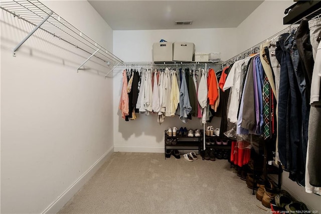 123 Sorrel Ct, Raeford, NC 28376 - walk in closet featuring carpet floors