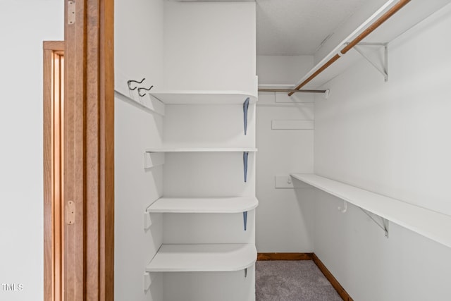 601 Wofford Rd, Durham, NC 27707 - spacious closet with carpet flooring